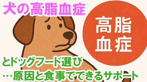 犬の高脂血症とドッグフード選び…原因と食事でできるサポート