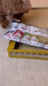 【アンちゃん】写真