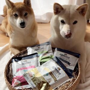 【茶々ちゃん大福ちゃん】