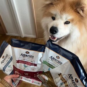 【ボブちゃん】