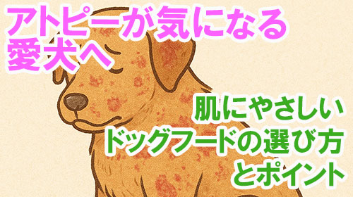 アトピーが気になる愛犬へ｜肌にやさしいドッグフードの選び方とポイント