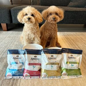 【ぷっちゃん・マシューくん】