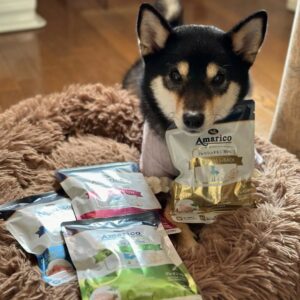 【チョコちゃん】