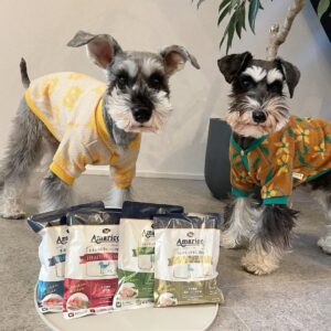 ブルクくん・リッターくん