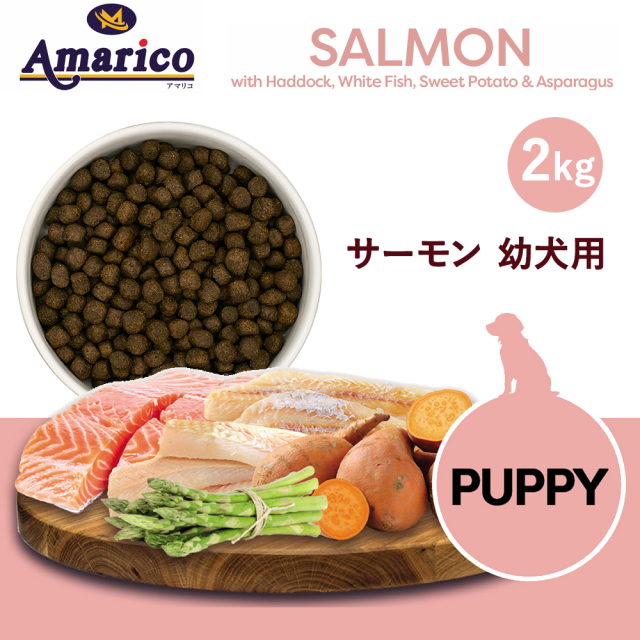 Amarico グレインフリー サーモン幼犬用2kg×1 サーモン ハドック ブルーホワイティング サツマイモ アスパラガス 子犬用総合栄養食.jpg